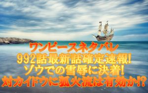 ワンピース面白いつまらない アニメの評判やいつ終わるのかとラストの結末を考察 アニマガフレンズ