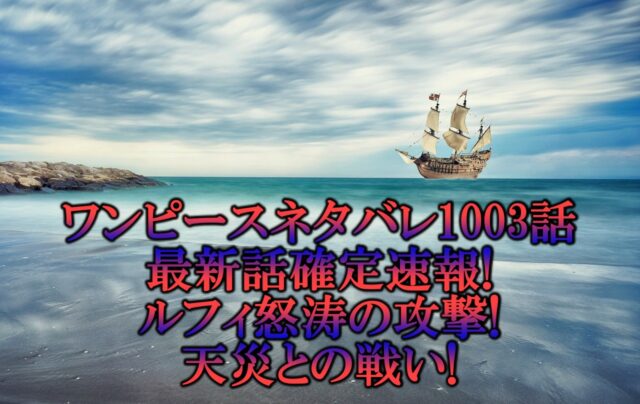 ワンピースネタバレ1003話最新話確定速報 ルフィ怒涛の攻撃で天災との戦い アニマガフレンズ