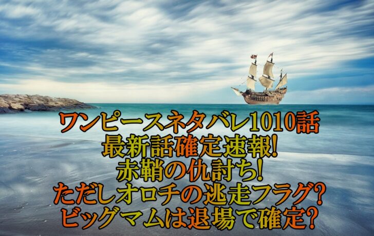 ワンピースネタバレ1010話最新話確定速報 赤鞘の仇討ち ビッグマムは退場で確定 アニマガフレンズ