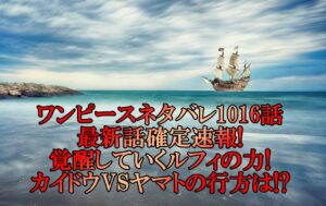 ワンピース アニマガフレンズ